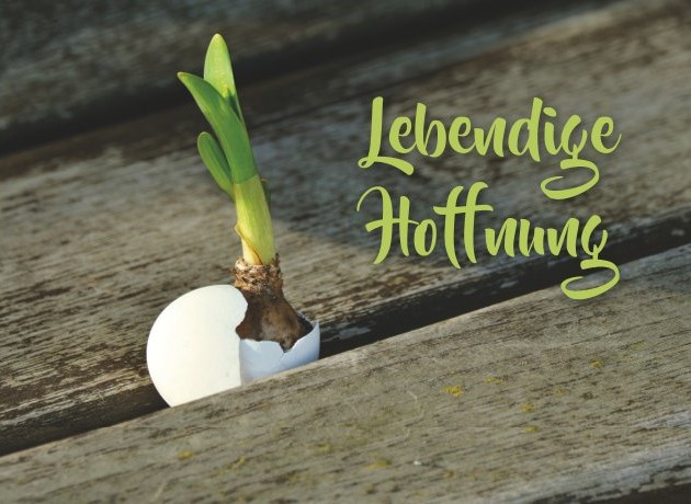 Lebendige Hoffnung